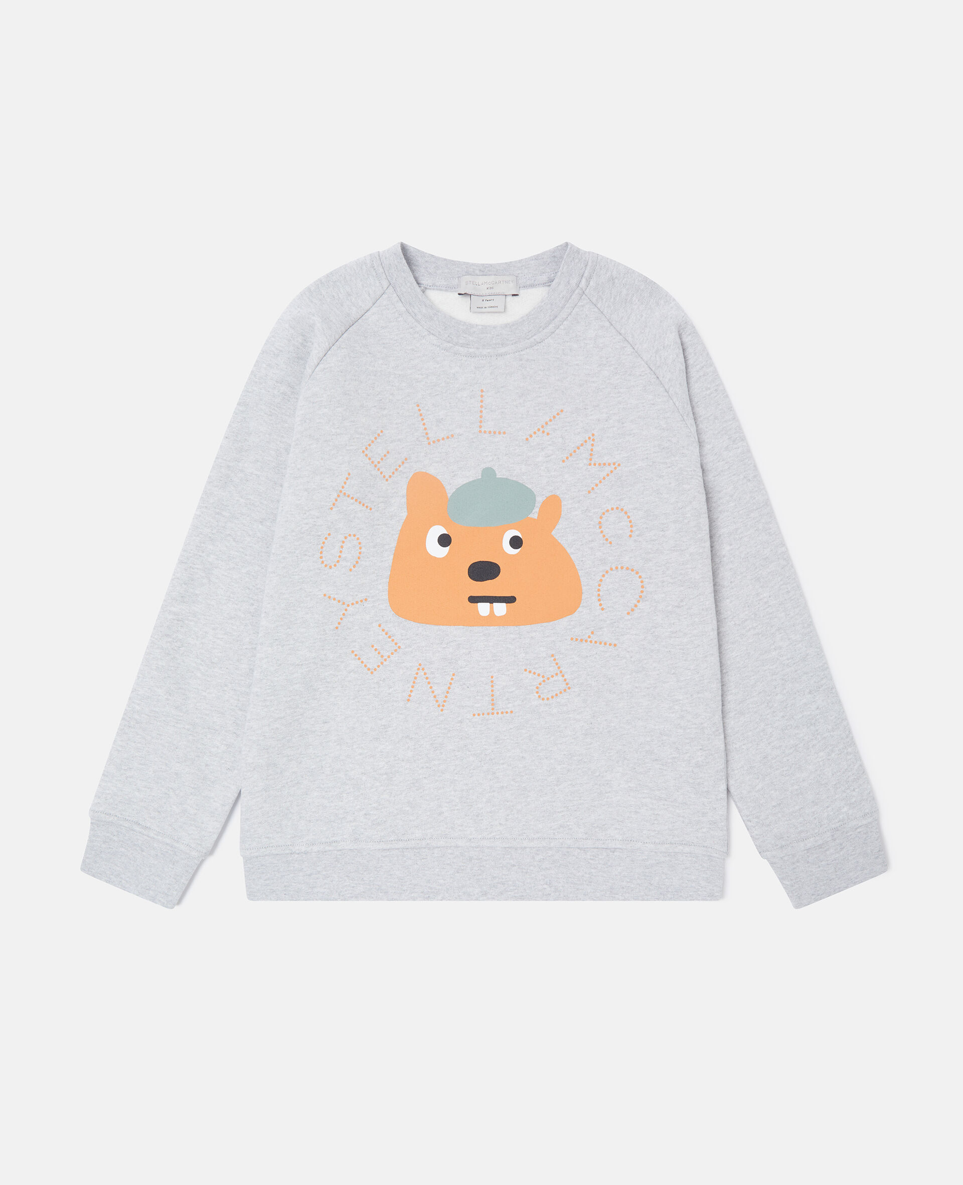 Squirrel Graphic Crewneck Sweatshirt-Grey-medium