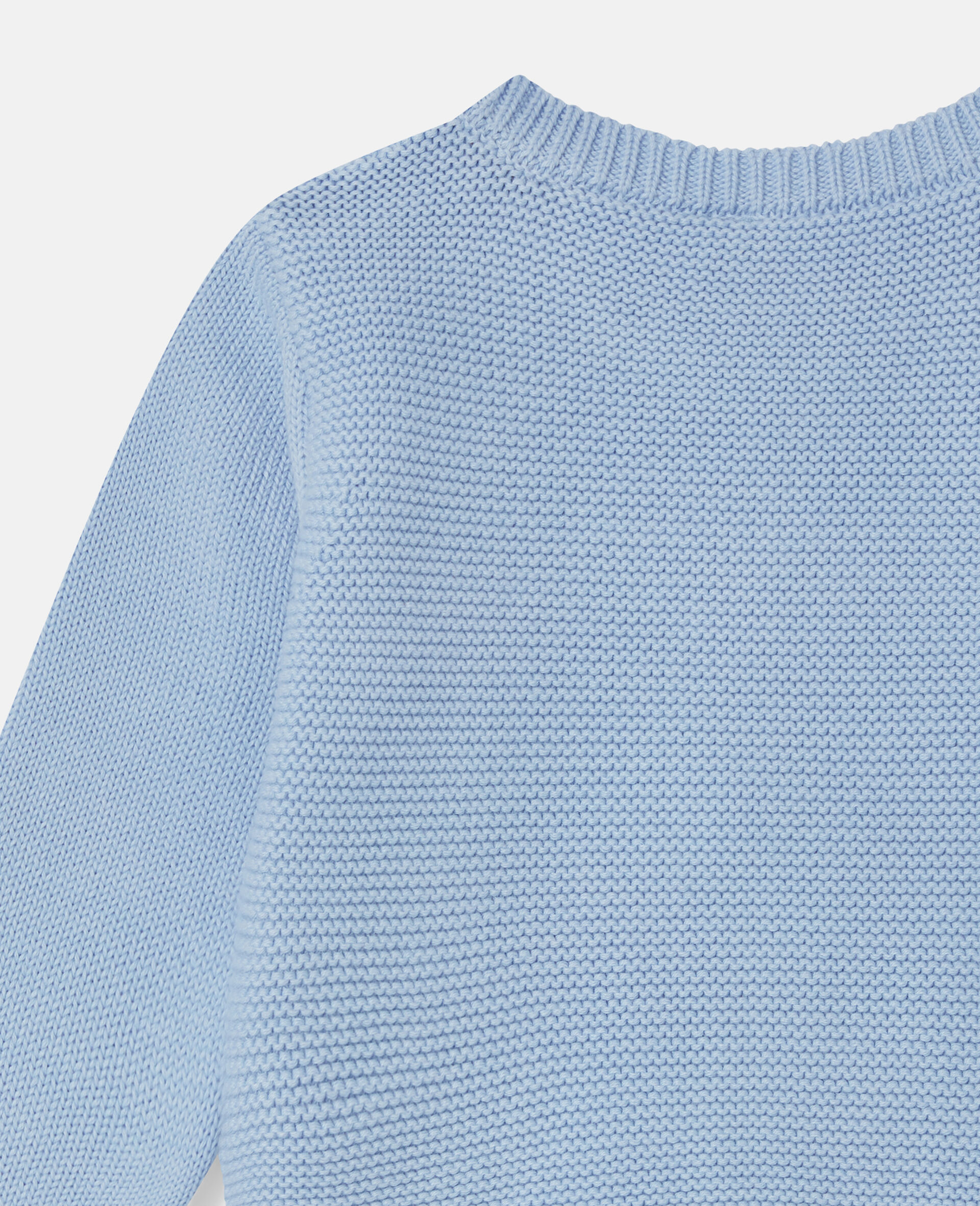 Frog Graphic Print Sweatshirt-Blue-large image number 1