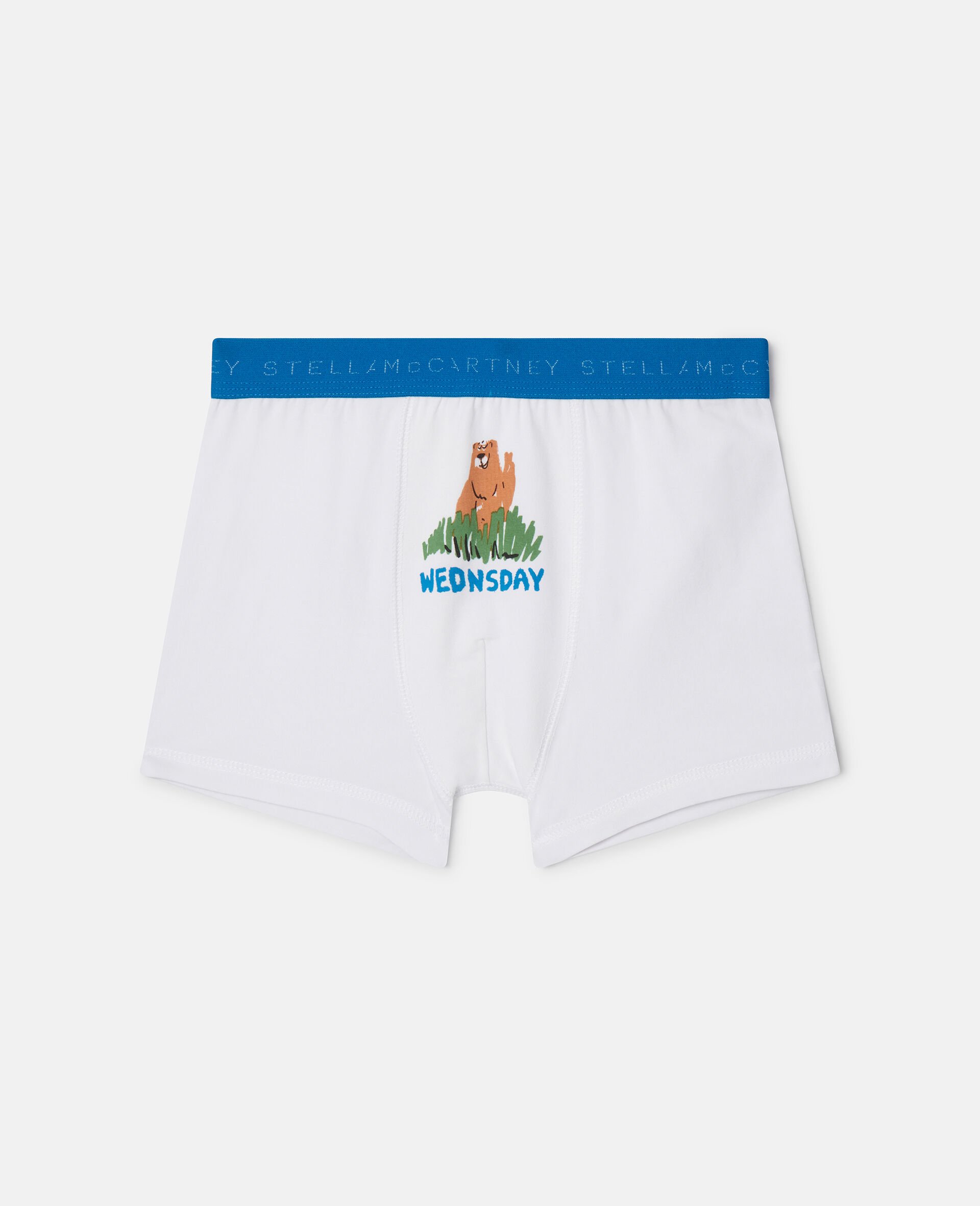 7 Pack of Grizzly Bear Days of the Week Boxers-Multicoloured-large image number 1