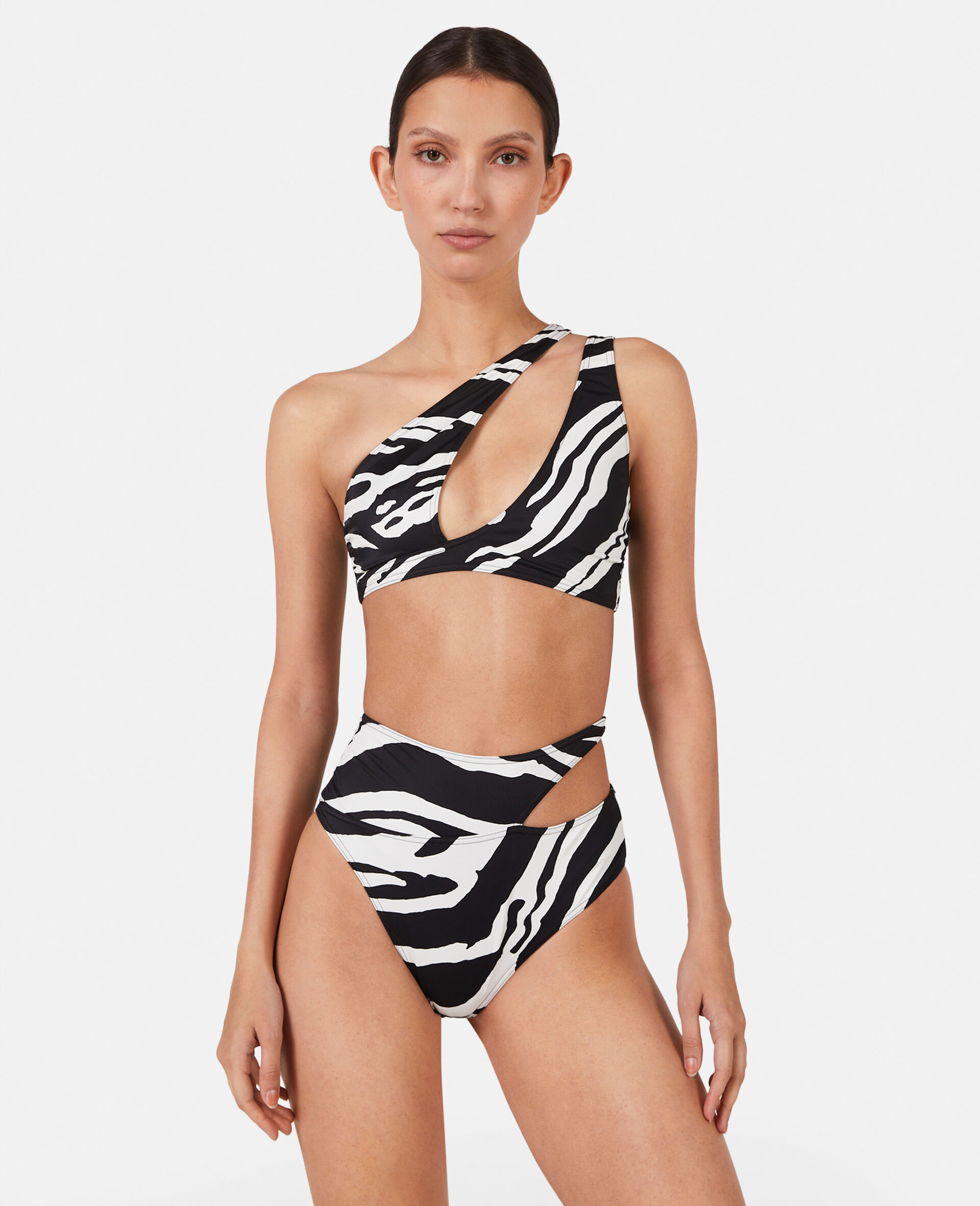 Zebra Print Cut-Out High-Waisted Bikini Briefs-Multicoloured-model