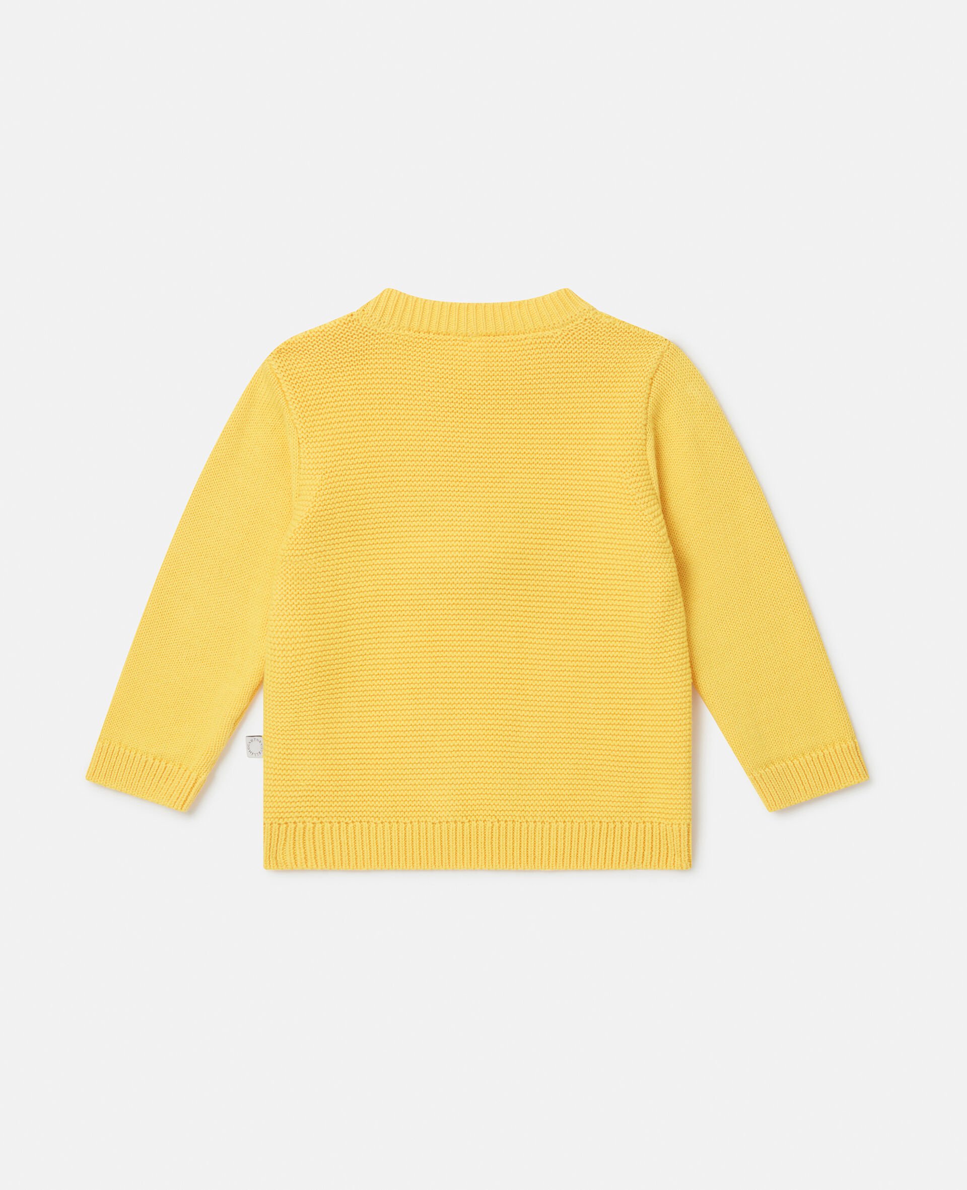 Pull avec broderie poussin-Jaune-large Pull avec broderie poussin-Jaune-large image number 2