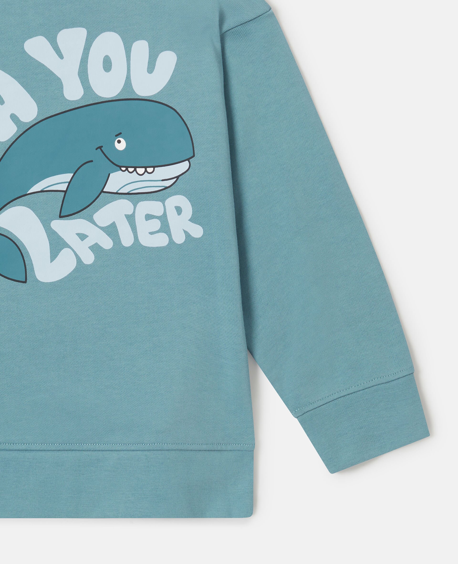 Whale Motif Sweatshirt-Blue-large image number 3
