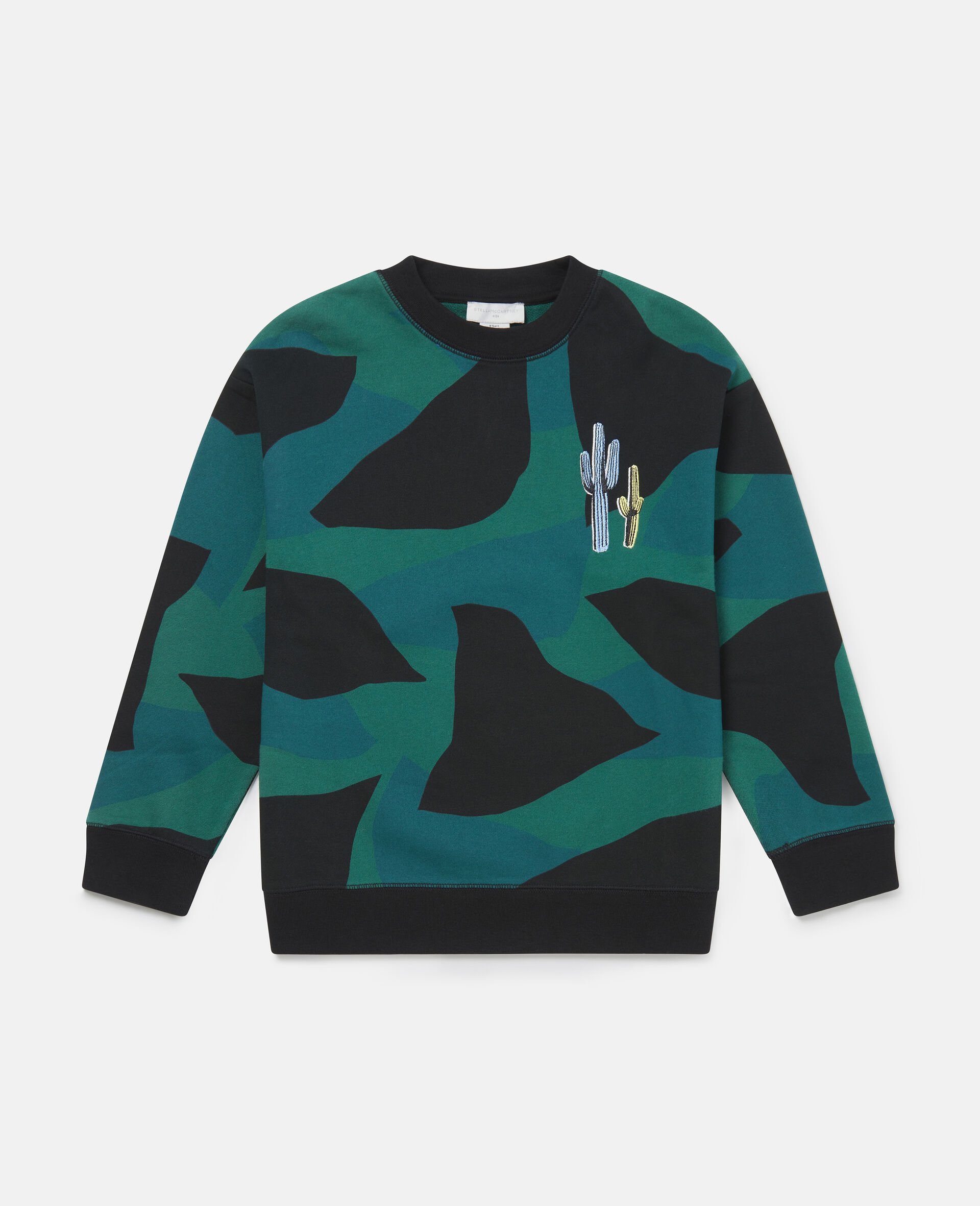 Camo Print Cotton Fleece Sweatshirt-Multicoloured-large image number 0