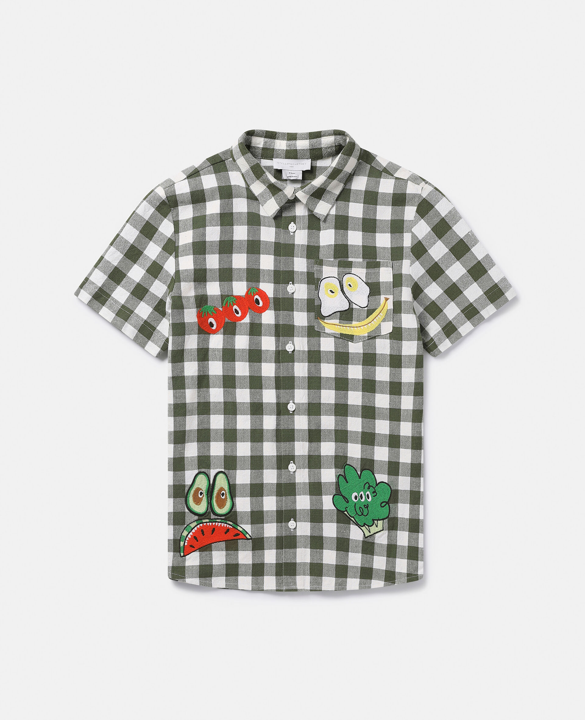 素食刺绣格纹衬衫-Multicolored-model