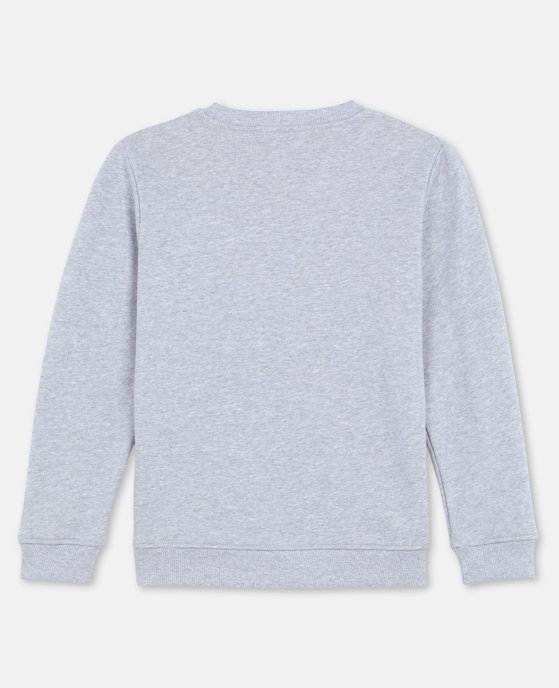 Roarrr Cotton Sweatshirt -Grey-large image number 3
