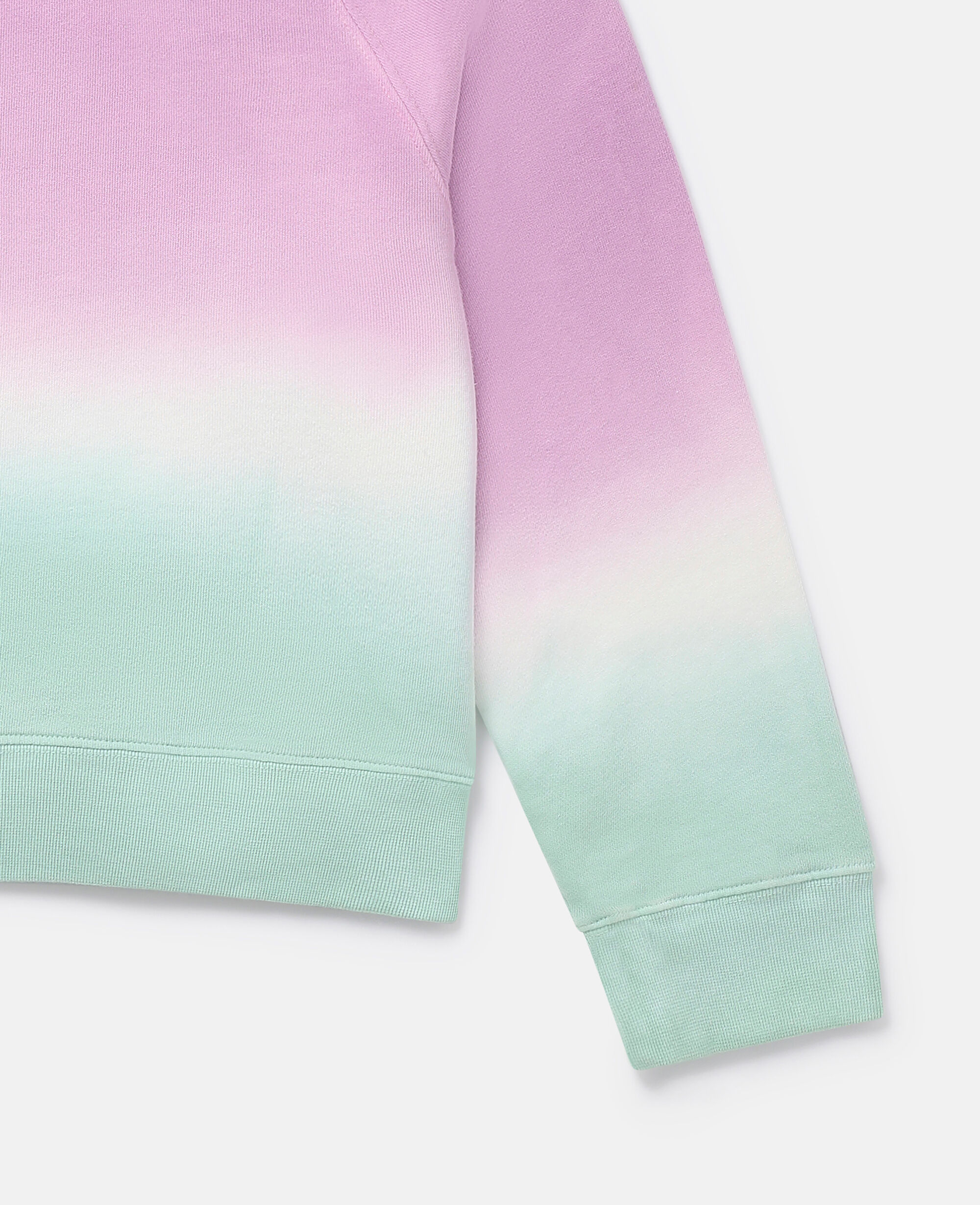 Pastel ombre sweatshirt 2025