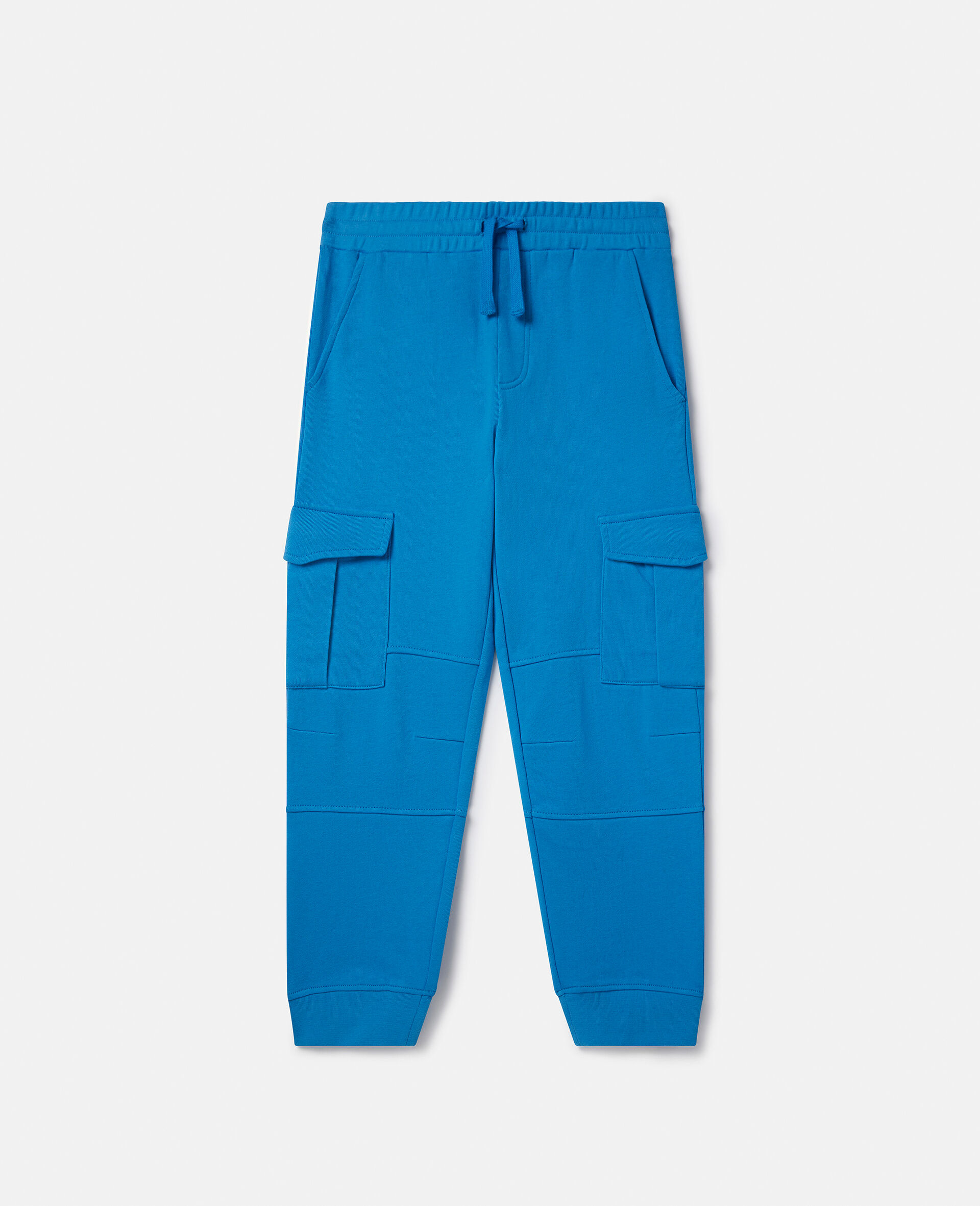 Cargo Joggers-Blue-large image number 0