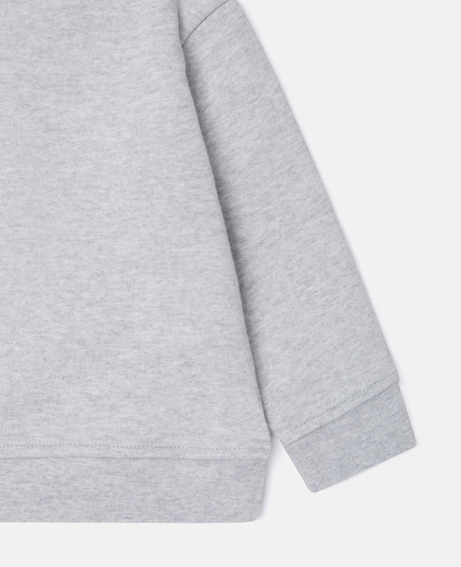 Squirrel Graphic Crewneck Sweatshirt-Grey-large image number 3