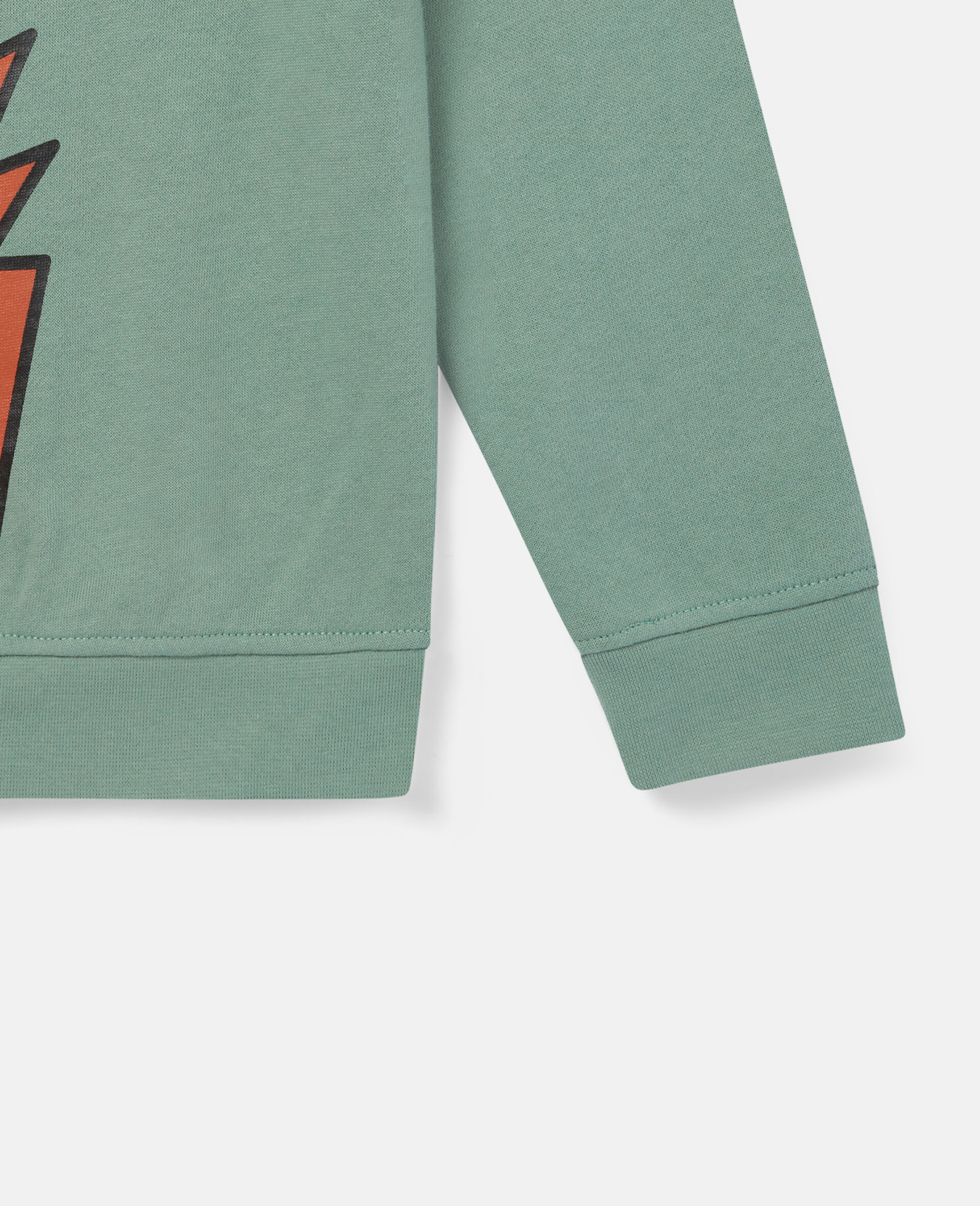 Fox Print Cotton Fleece Sweatshirt-Green-large image number 2