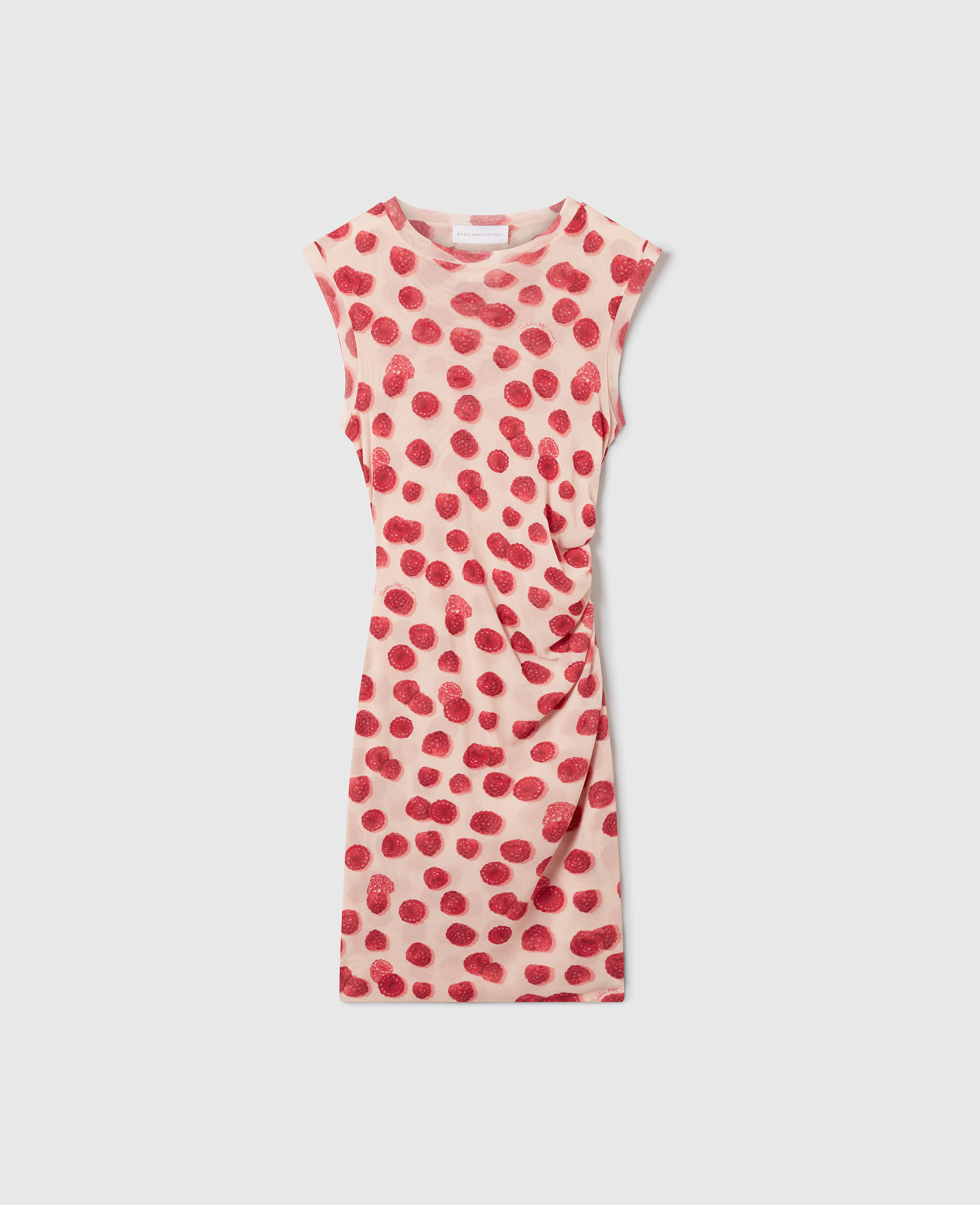 Stella McCartney - Raspberry Print Mesh Mini Dress, , Size: XXS